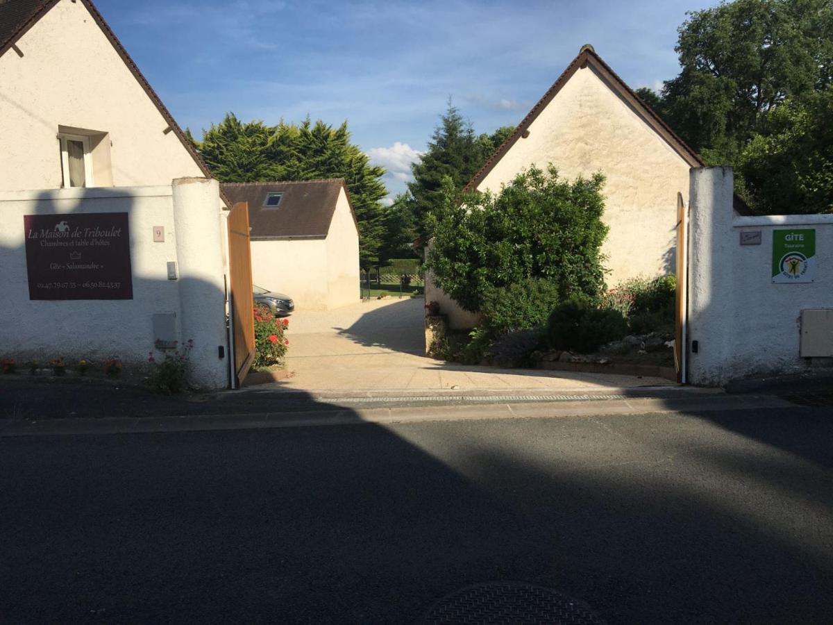 LA MAISON DE TRIBOULET Chambres et table d'hôtes Pocé-sur-Cisse Exterior foto